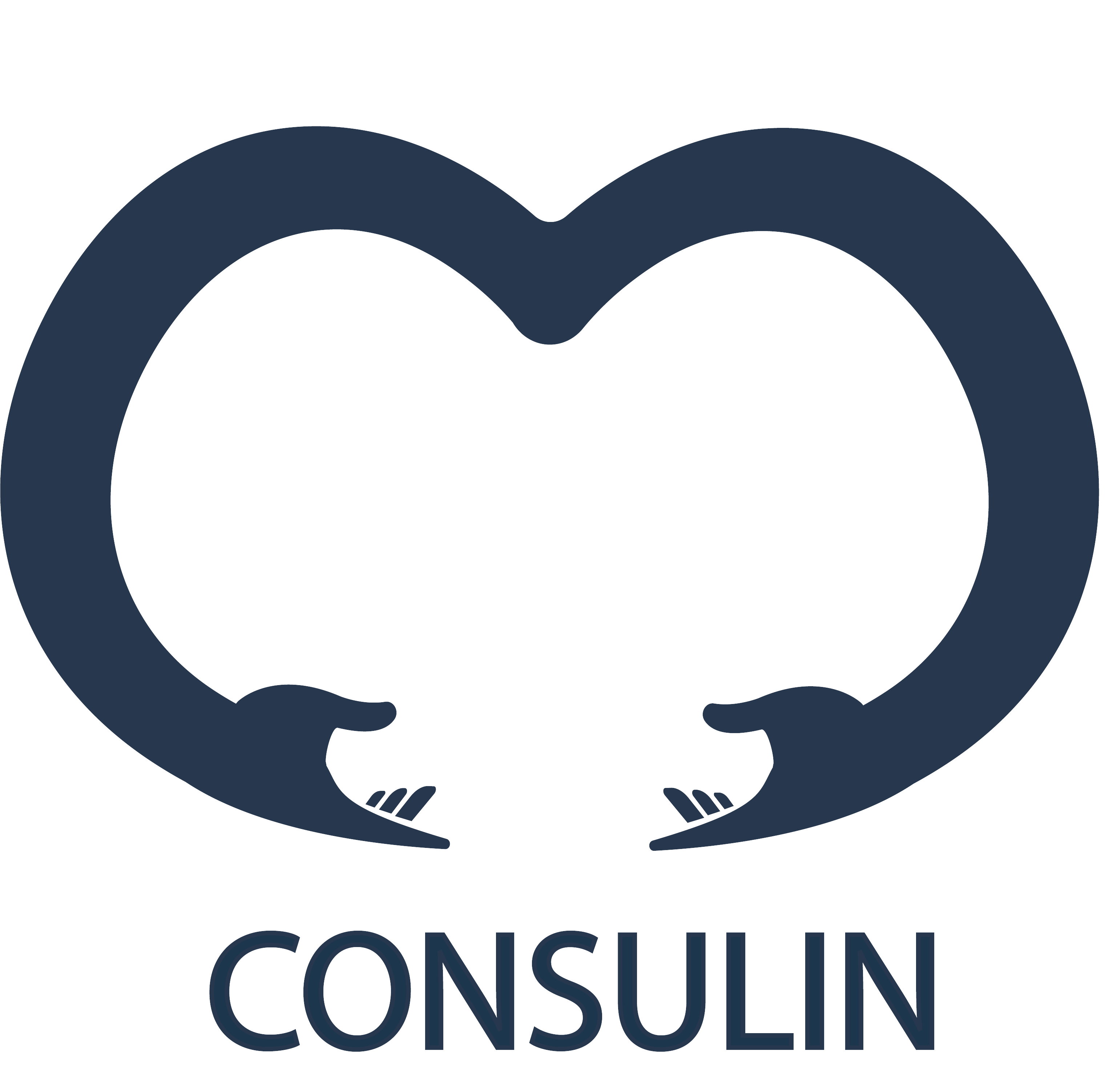 Consulin Logo